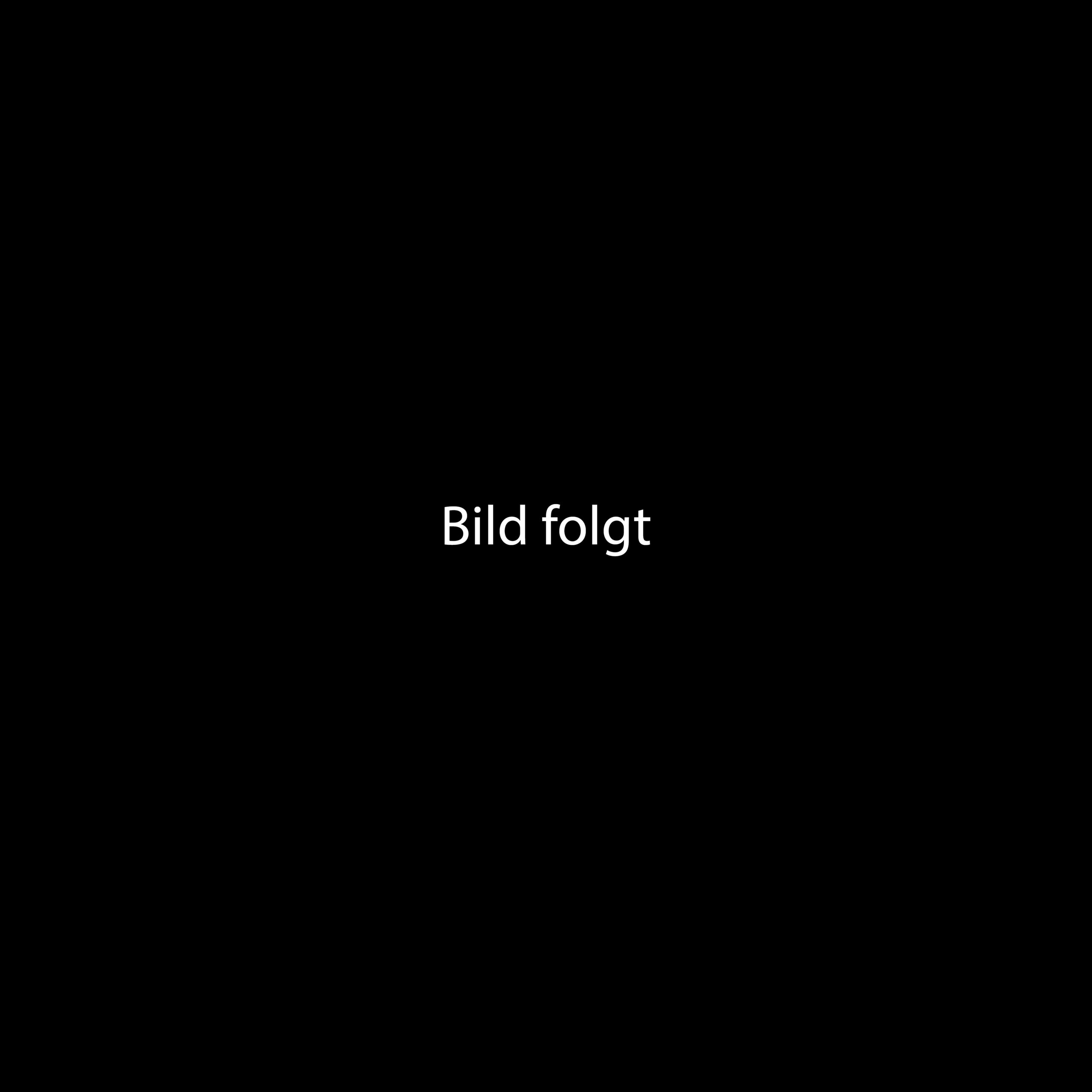 Bild folgt.jpg